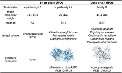 Challenges and perspectives in using unspecific peroxygenases for organic synthesis